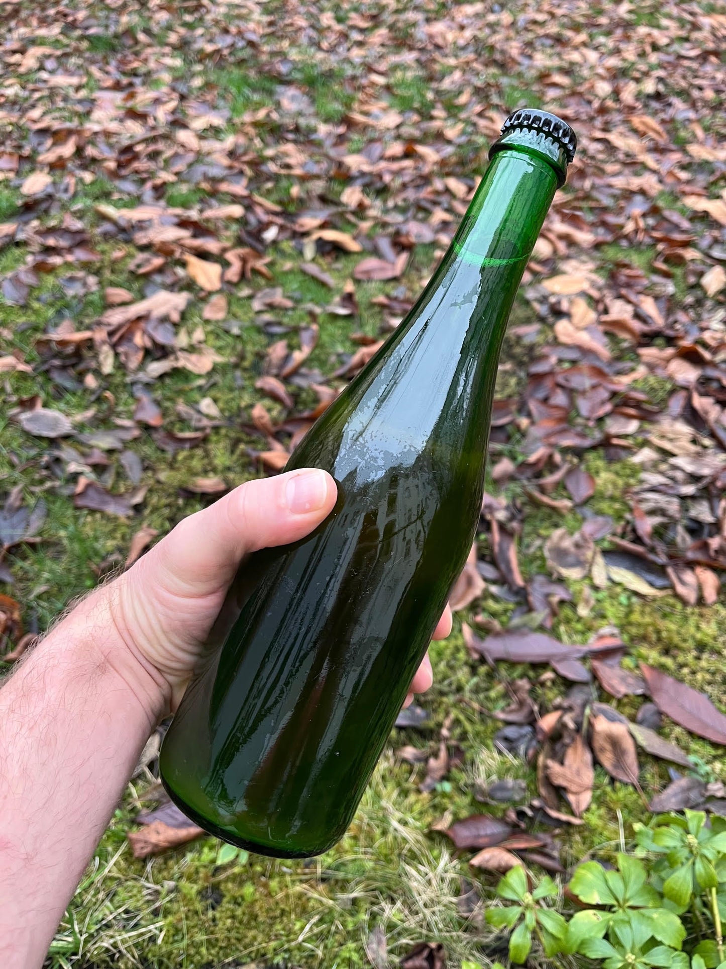 Side A (2025 Membership 6-pack)