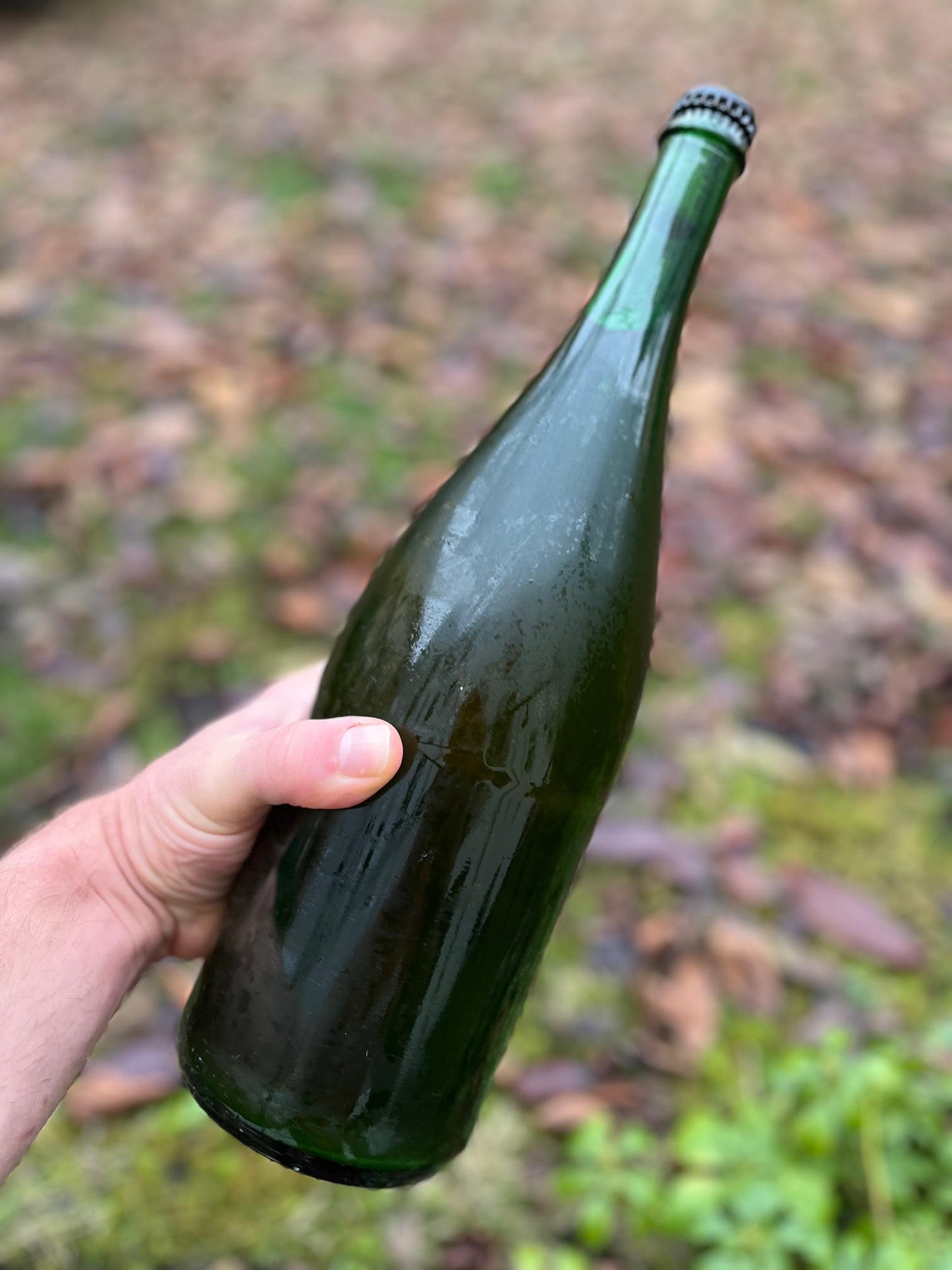 MAGNUM Here and Now : Forest & Fields